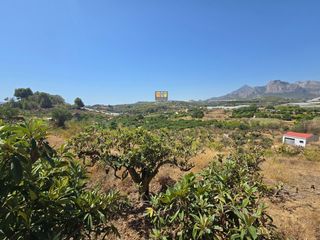 Landgut in Callosa d´en Sarrià. Terreno rústico en venta en callosa den sarrià