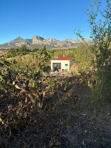 Foto 7ab1aa6e-416f-4faa-99eb-3bcd39a62928. Finca rústica a Callosa d´en Sarrià