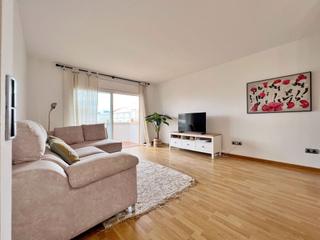 Penthouse in Ribes Roges
