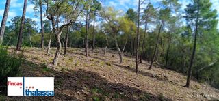 Terreno residenziale in Lloret Residencial - Montlloret. En venta 5 parcelas juntas