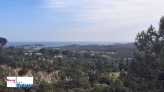 Terreny residencial a Lloret Verd - Els Pinars