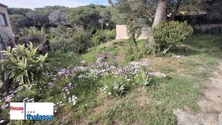 Terreny residencial a Lloret Verd - Els Pinars