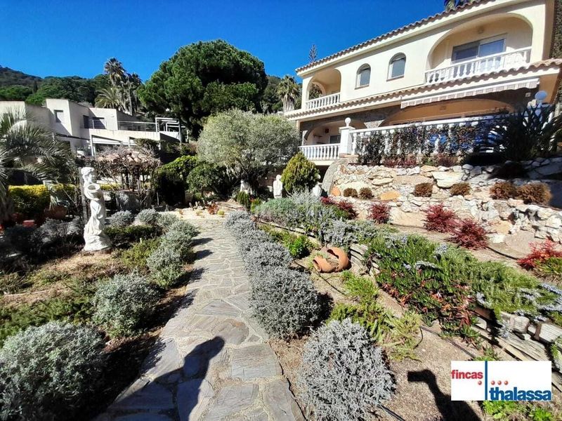Foto 7d12b6fc-0084-4c9c-8318-05ba0f7cf582. Casa amb calefacció a Santa Cristina-Sant Francesc Blanes