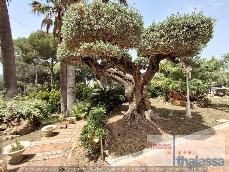 Foto 0e9fd786-e73b-4fca-bb59-f62c7af662a2. Casa amb calefacció piscina a Fenals Lloret de Mar