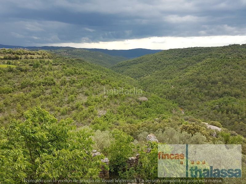Foto dfea23ff-a1fb-40f4-9ad2-d46bc2335f2a. Finca rústica a Baronia de Rialb (La)
