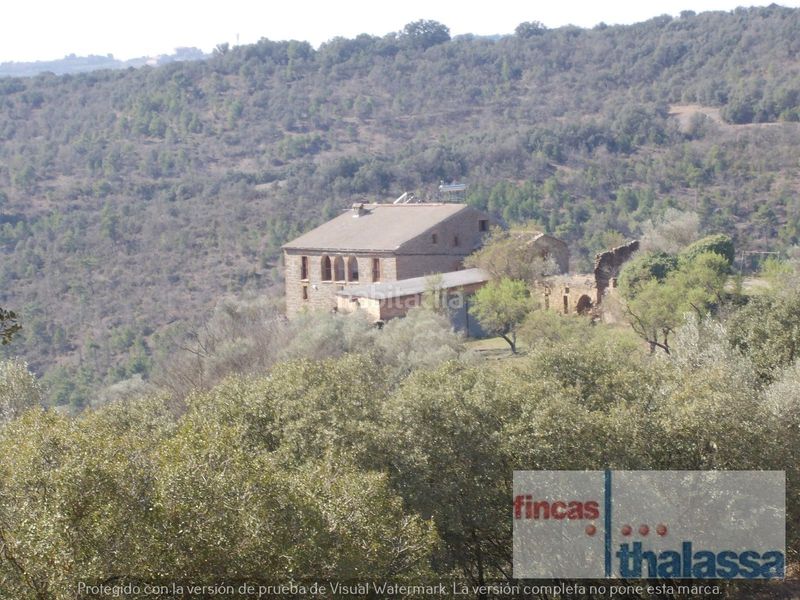 Foto e95aa690-d38e-4b5e-9dca-41374ccaf753. Finca rústica a Baronia de Rialb (La)