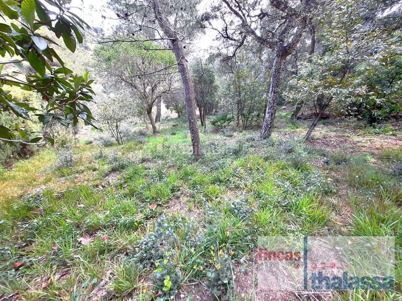 Foto 3bba998b-8784-49bb-a635-5c7722b3ff53. Terreno residencial parcela edificable con vistas al mar en Lloret de Mar