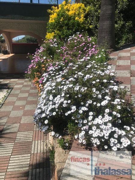 Foto bd03bbff-7243-4363-ba42-019b4527fc7d. Casa amb calefacció piscina a Roca Grossa Lloret de Mar