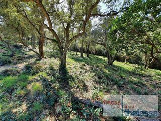 Terreny residencial a Lloret Blau - La Creu de Lloret