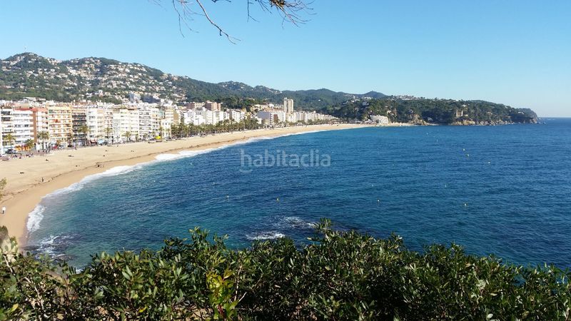Foto 3cc1b3ae-a747-4e6e-a08b-1ff8503264e1. Local comercial a Centre Lloret de Mar