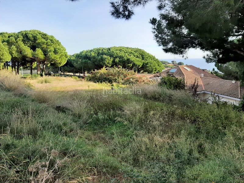 Foto 8799e535-d89d-43b8-b1a8-36114b4c22a4. Casa amb calefacció piscina a Victoria-Les Vil·les-Canyadell Arenys de Mar