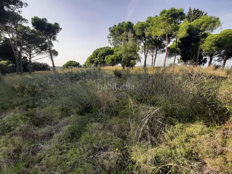 Foto cf6652de-182b-4d8c-a59a-0f33fd930f5b. Casa amb calefacció piscina a Victoria-Les Vil·les-Canyadell Arenys de Mar