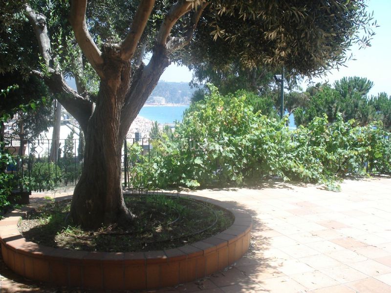 Foto dc91ee97-f5f6-4e50-92d1-a0e5b0753649. Casa amb calefacció piscina a Centre Lloret de Mar