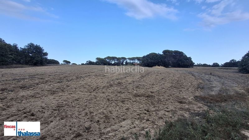 Foto 4ab79252-a0fb-4578-ac9c-a4df2c5cd0e8. Finca rústica a Centre Vidreres