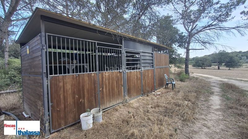 Foto a6097934-8752-4bdb-94fd-18941ee971b0. Finca rústica a Centre Vidreres