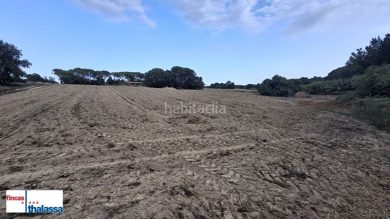 Foto d6f40767-0f07-4eb2-ba66-b38a1971cfb5. Finca rústica a Centre Vidreres