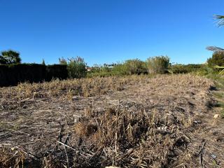 Rural plot in Oliva Pueblo