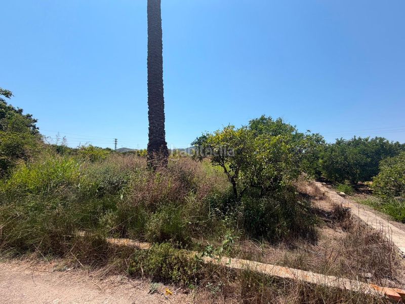 Foto f6c05b38-e18c-4644-8663-3696f2e78752. Finca rústica a Oliva pueblo Oliva