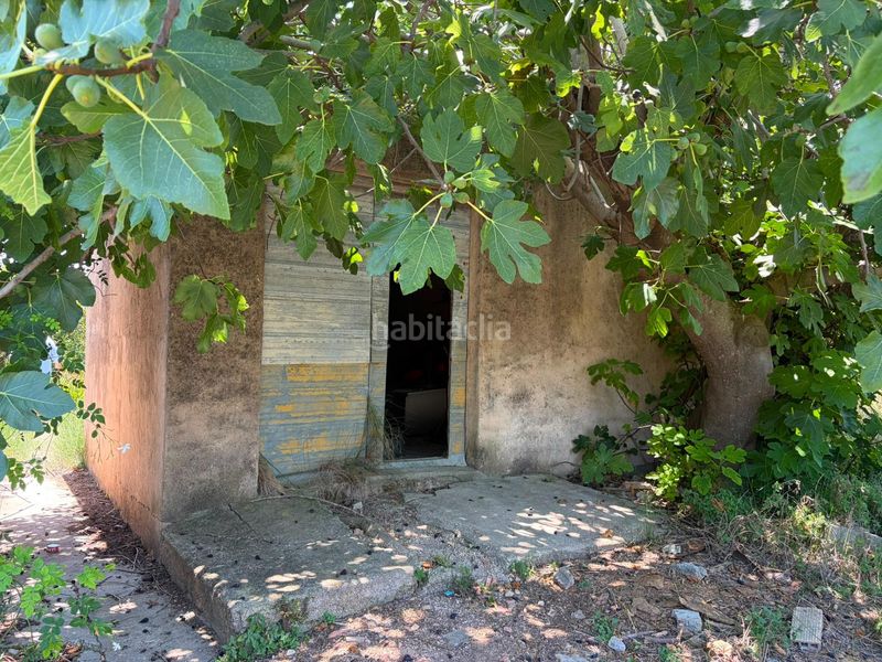 Foto 0f932c93-566b-470d-b2fe-8b8bfb8841b6. Finca rústica en Oliva pueblo Oliva