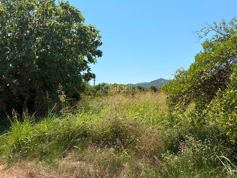 Foto b96f1225-45a2-4d37-b27b-2b08611b7338. Finca rústica en Oliva pueblo Oliva