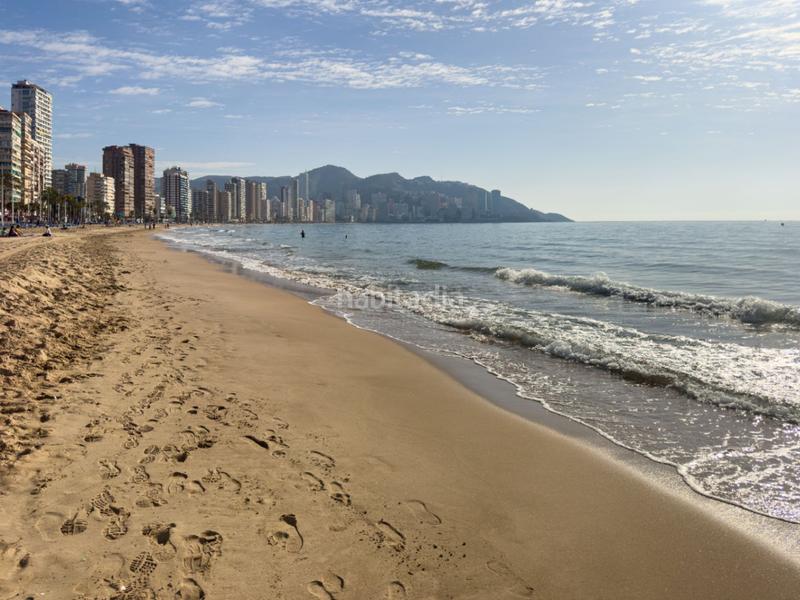 Foto 222b9320-e74c-46f1-9a05-6e0a297572e4. Appartement dans avinguda alcoi dans Playa Levante Benidorm