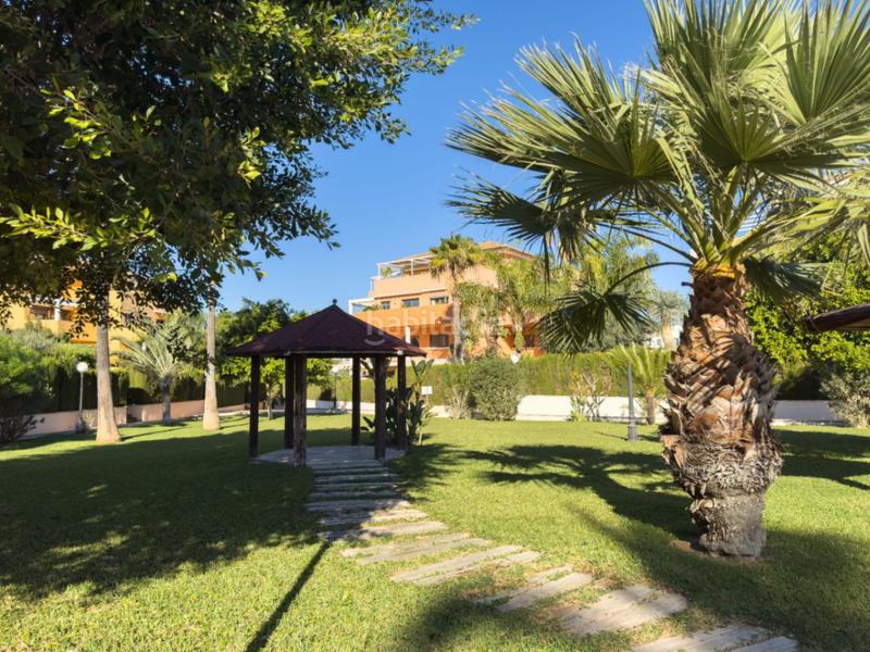 Foto fe5fcd70-755d-4c01-9d0e-0b20f1058550. Flat in camí de santa llúcia in El Montgó Dénia