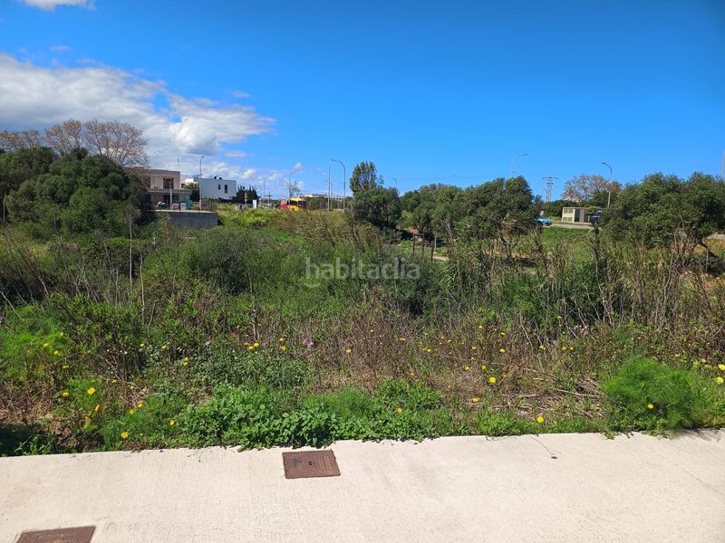 Foto 4a662e89-bcd2-40d7-815c-3a283327c454. Terreny residencial a Llucmaçanes Maó / Mahón