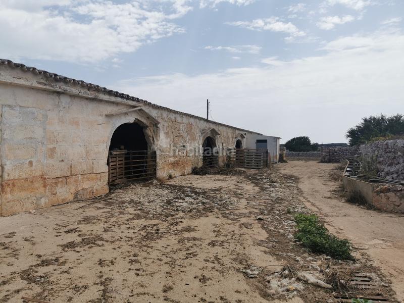 Foto 33dcb788-7bb7-436e-a32e-479b0fab15d4. Masía finca rústica de gran valor historico con explotación agraria en activo y coto de caza en menorca en Maó / Mahón