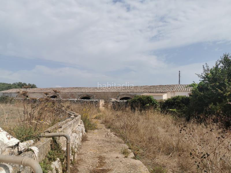 Foto 7a9af85c-b610-4437-a49b-bbd7624292fc. Masía finca rústica de gran valor historico con explotación agraria en activo y coto de caza en menorca en Maó / Mahón