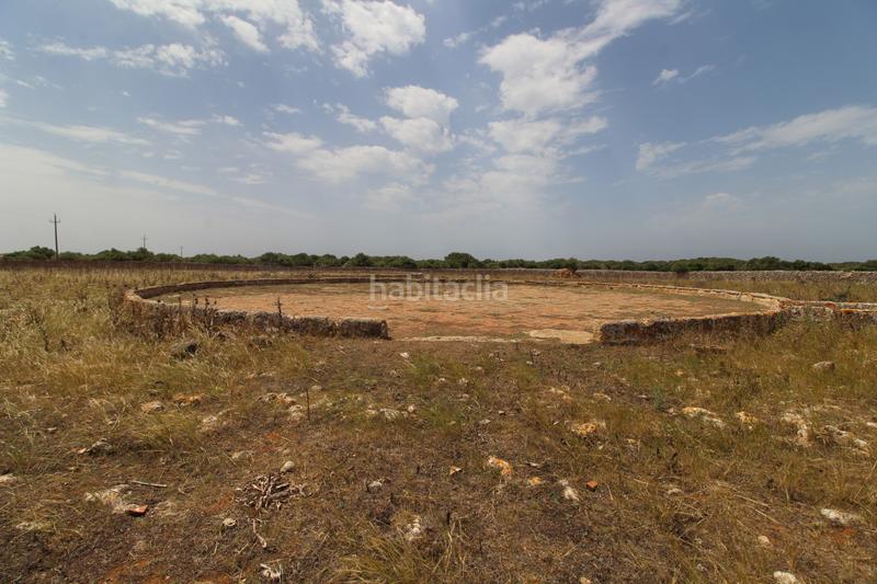 Foto af41bb82-ad5b-4154-b7a8-3cb3c88f2609. Masía finca rústica de gran valor historico con explotación agraria en activo y coto de caza en menorca en Maó / Mahón