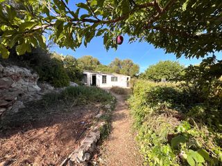 Rural plot in Es Castell. Encantador huerto familiar con gran variedad de frutales y espac