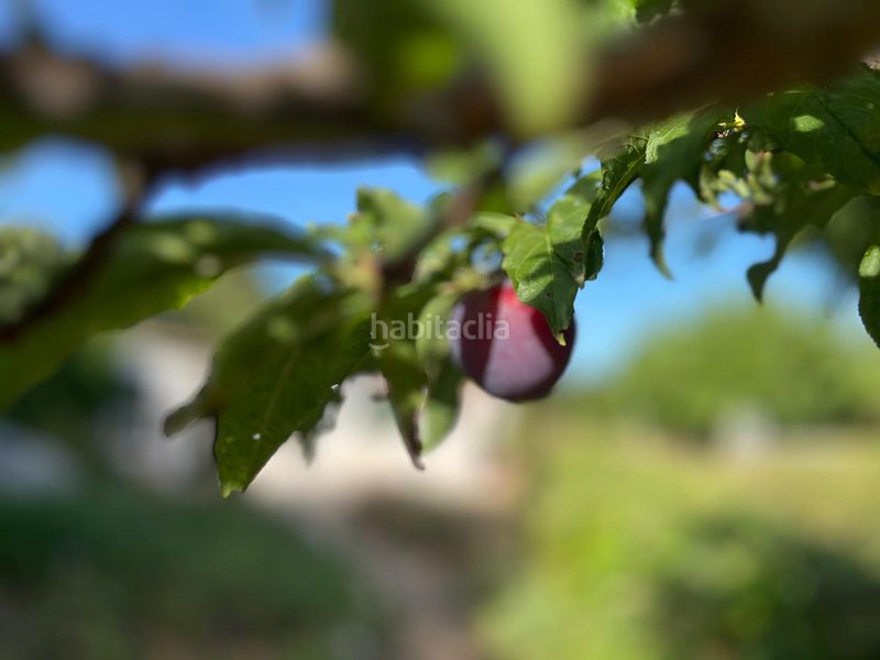 Foto ba7c81e9-5912-4c22-9362-e5f133633388. Finca rústica a Es Castell Es Castell
