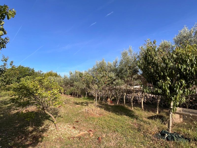 Foto f0f6ff77-28f0-4b8b-a3d2-0e0ed55c31f2. Finca rústica a Es Castell Es Castell