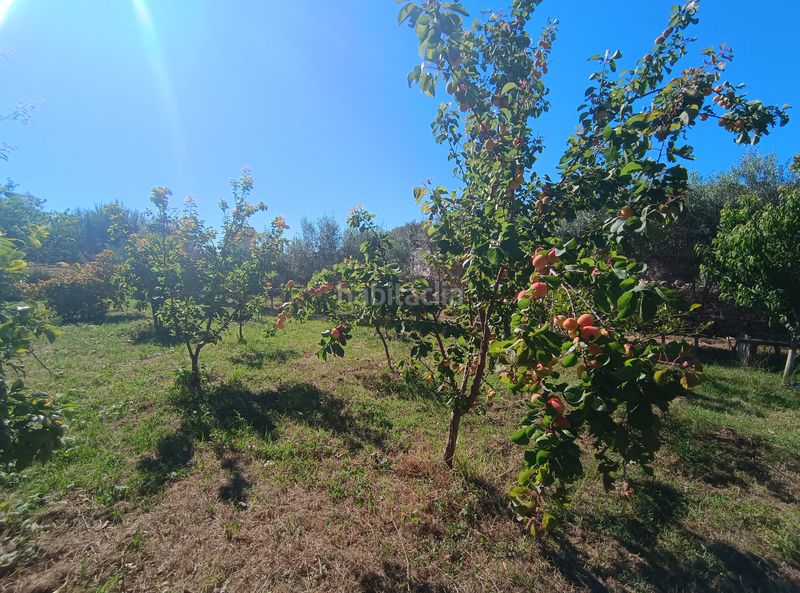Foto f26e9c20-b382-4e39-98f4-838fedff23cb. Finca rústica a Es Castell Es Castell
