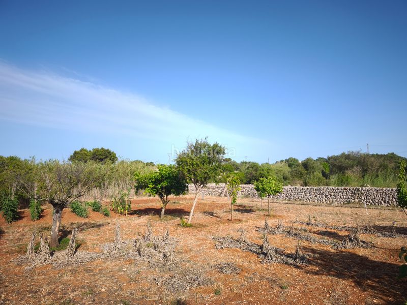 Foto 3bde22fc-7827-4c37-899c-e73c99393896. Masia amb aparcament a Sant Lluís-s´ullestrar-torret Sant Lluís