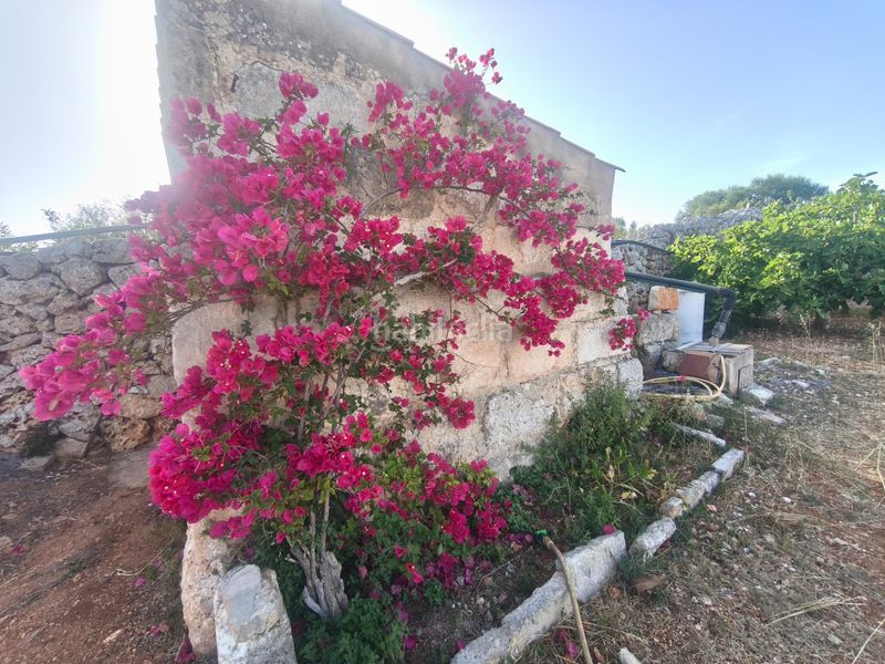 Foto ad61d5c5-3317-4f53-a7a1-fc5b56bd384a. Masia amb aparcament a Sant Lluís-s´ullestrar-torret Sant Lluís