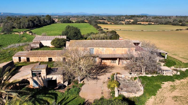 Foto 1ba45fc8-4dbb-4a8f-9825-1ad098e5e786. Country house in Felanitx poble Felanitx
