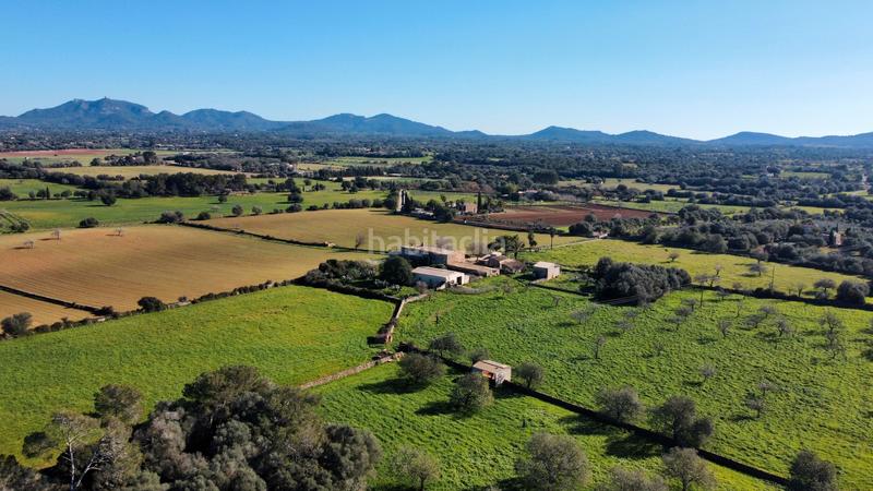 Foto 5d7d4054-61ed-451a-89e4-d7884925ed57. Country house in Felanitx poble Felanitx