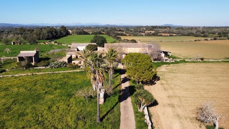 Foto b9e7acf1-6063-4af9-98d6-5cc3b825654a. Country house in Felanitx poble Felanitx