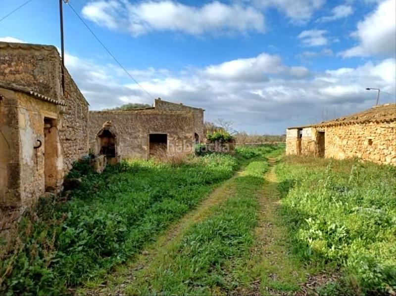 Foto 19529692-2bb5-433e-a7f7-9f9aab043b63. Masia a Felanitx poble Felanitx