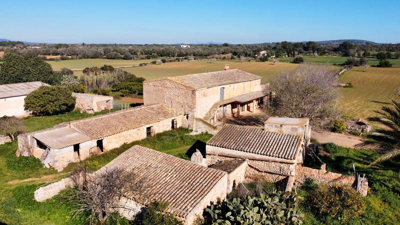 Foto 1e7fb6da-7768-4517-89d3-103cf15bd28c. Masia a Felanitx poble Felanitx