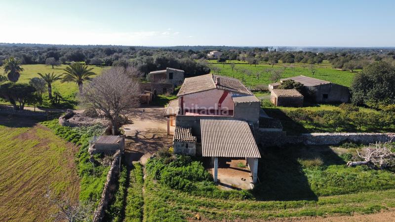 Foto a18c0827-b994-43e0-99f0-6dea19848b27. Masia a Felanitx poble Felanitx