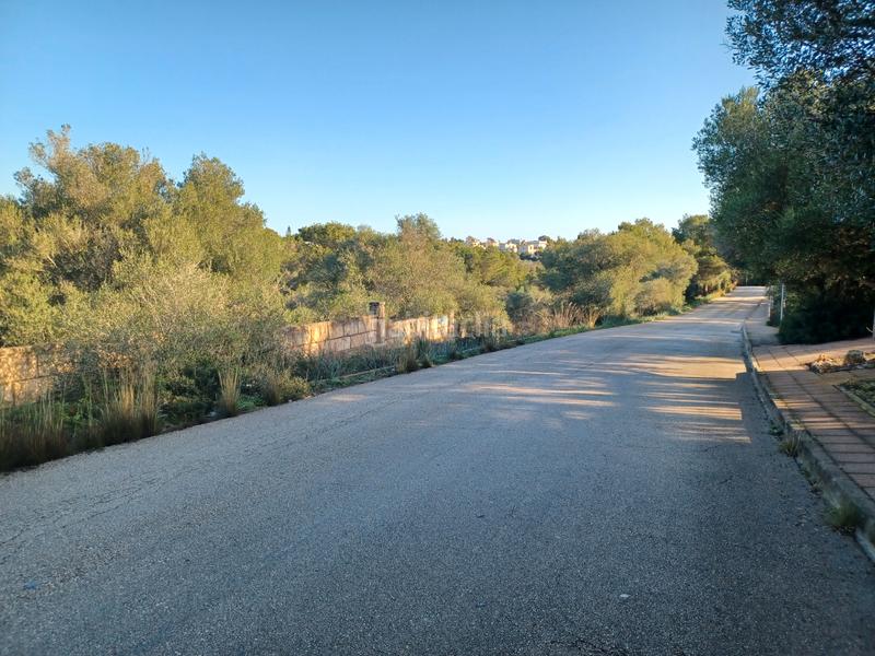 Foto 0ea5d4d1-18c2-49a6-8619-fcc0e9364815. Terreny residencial a Cala Murada Manacor