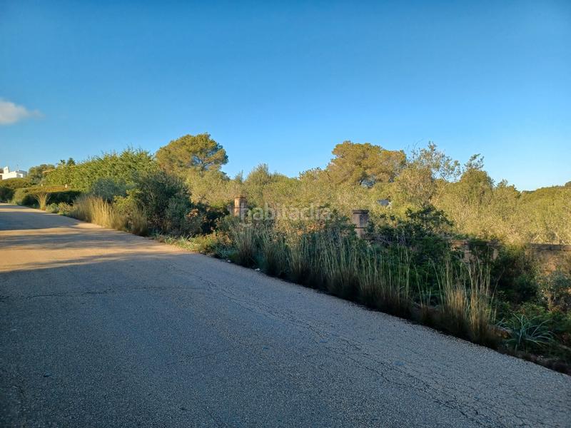 Foto 199b13d7-6467-4eec-88a8-a323544a7ff8. Terreny residencial a Cala Murada Manacor