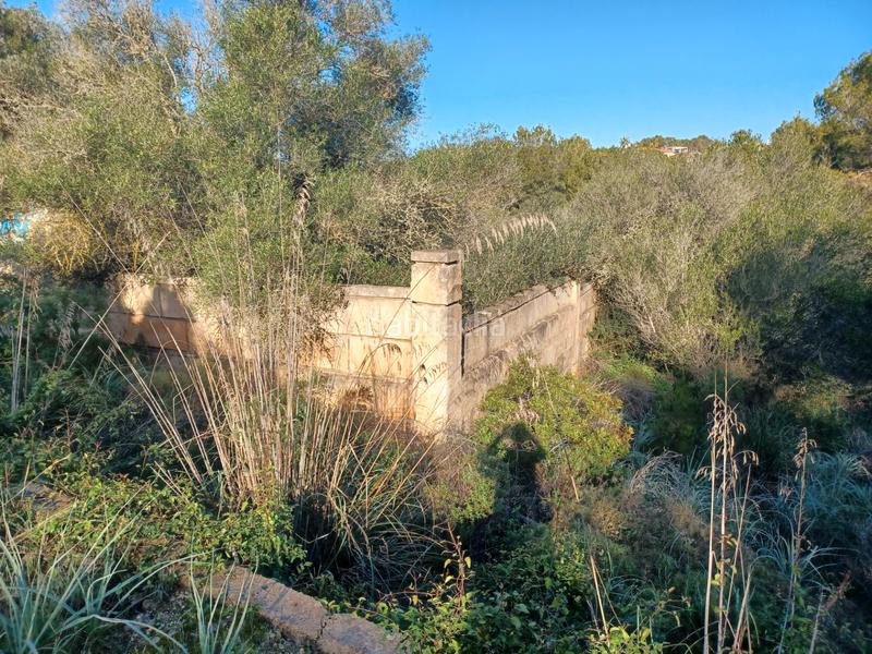 Foto cb729d5e-3c3f-4a9c-99d0-6e34e1dbb0a5. Terreny residencial a Cala Murada Manacor