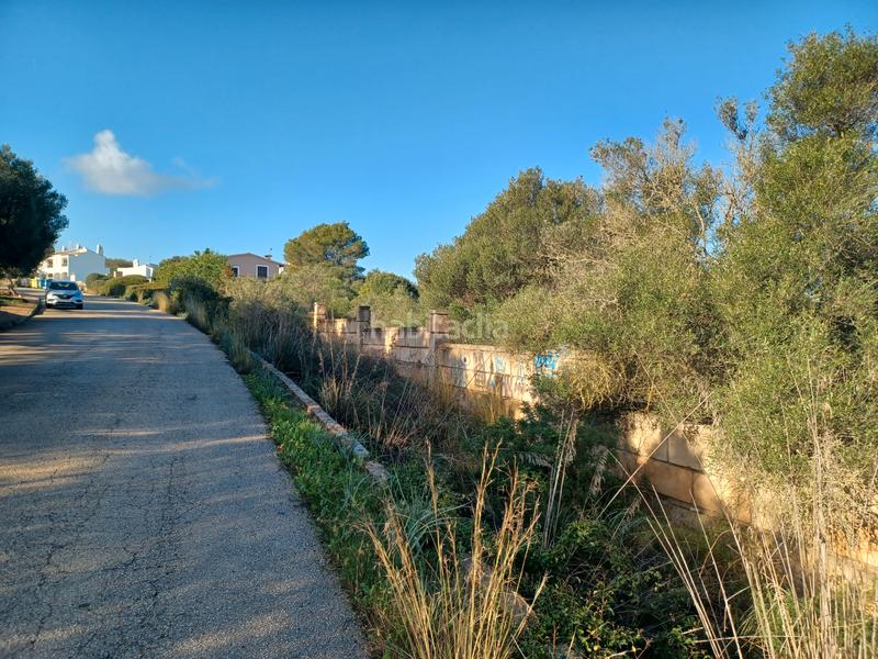 Foto ddee35af-fbfb-4f50-95a4-0baa3304a605. Terreny residencial a Cala Murada Manacor
