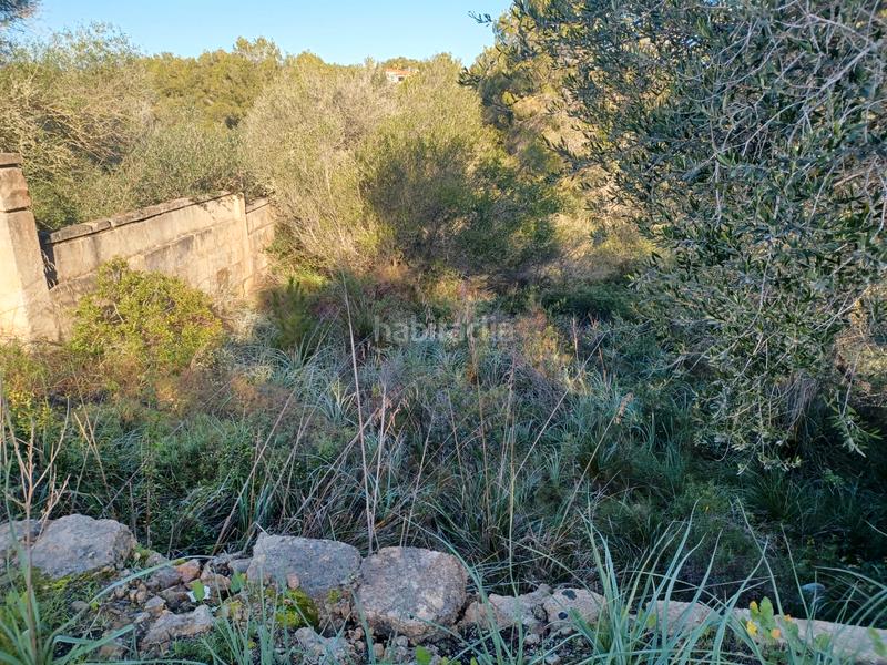 Foto b7743613-48cd-4f79-be95-f8f6a5f41482. Terrain résidentiel dans Cala Murada Manacor
