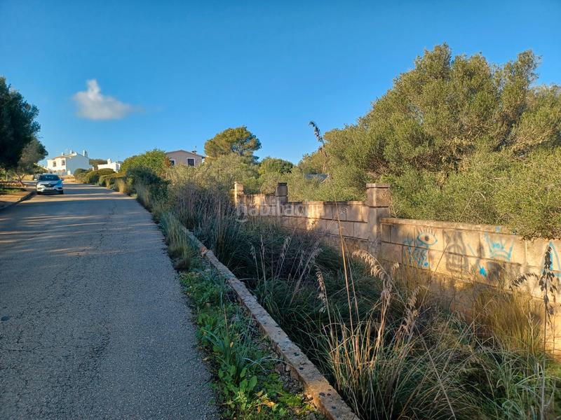 Foto bb17d4e5-d97c-474c-a1e2-9b90920786d8. Terrain résidentiel dans Cala Murada Manacor