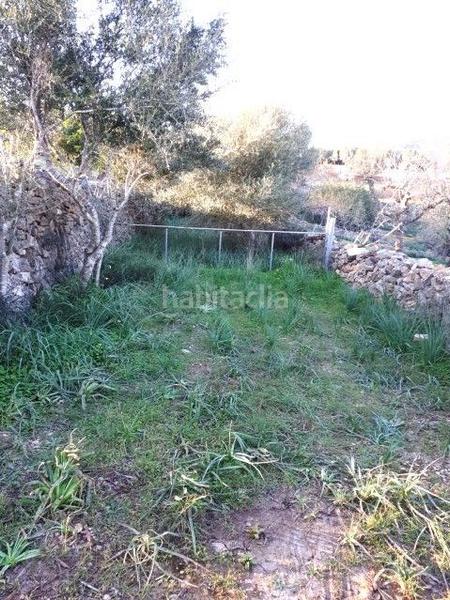 Foto 16c22f3b-ebfb-4e85-83f7-4bd364816ced. Terreno residenziale in Manacor centre Manacor