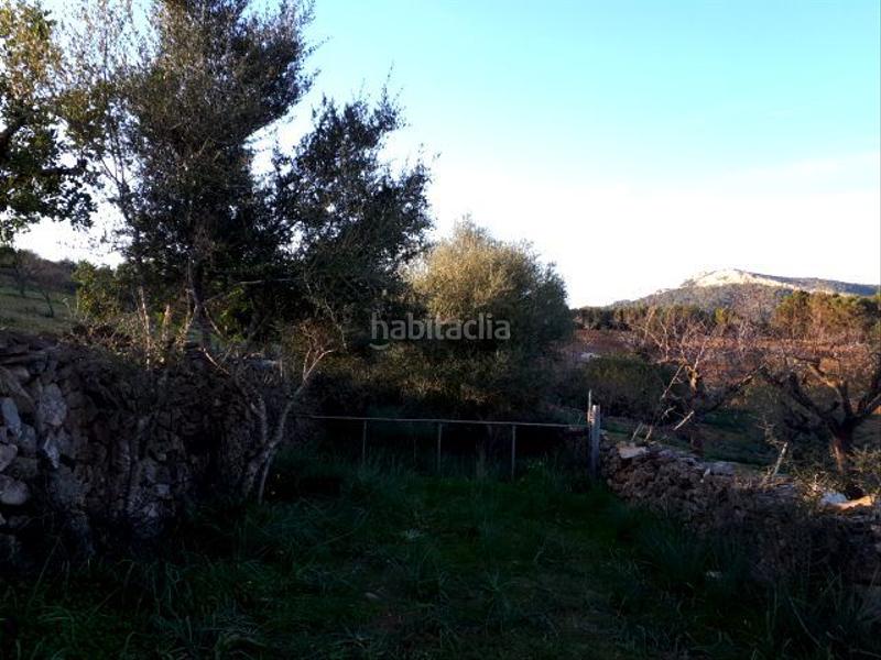 Foto 7c998694-fa6e-4f1b-b035-83dce733fc33. Terreno residenziale in Manacor centre Manacor